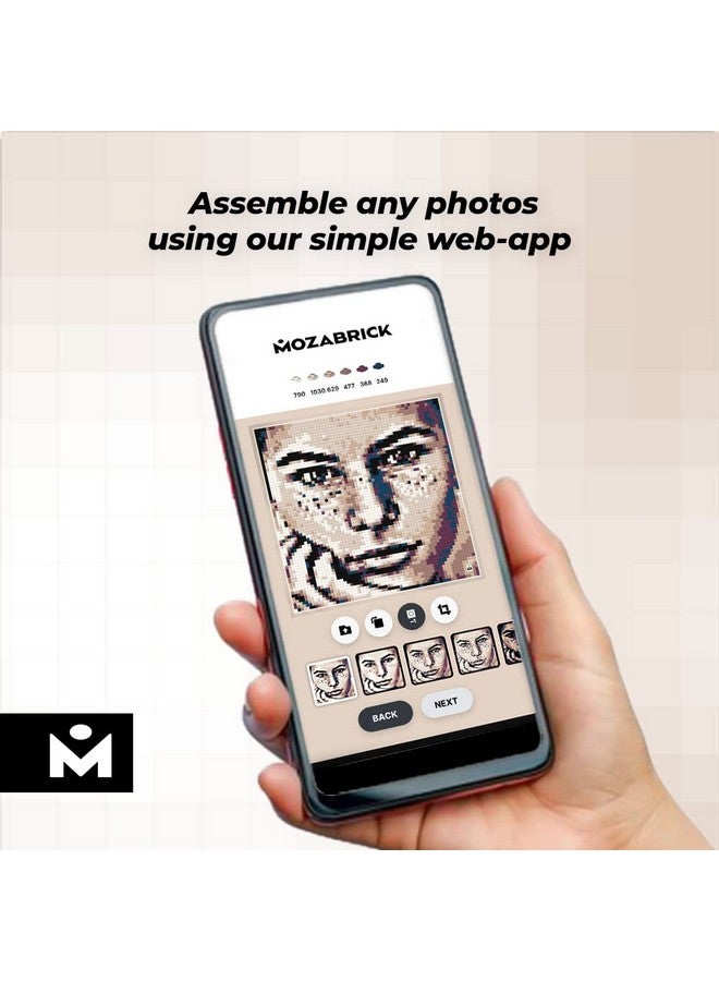 MOZABRICK مجموعة بناء صور موزابريك نموذج لون S (20 بوصة × 20 بوصة) - حول أي صورة إلى فن جدار موزاييك باستخدام منشئنا وتطبيق الويب. - Image 5