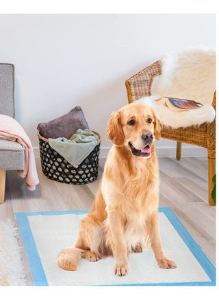 Disposable Absorbent Quick Drying Leak-Proof Pee Pads, Disposable Training Pads For Pets with 5 Highly Absorbent Layers, Puppy Pads For Potty Training For Pets 60X90cm, Pack of 25 Pieces - view 2