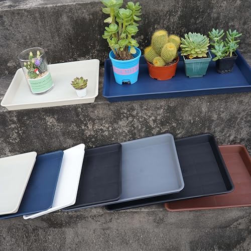 VUWEZ 2 Pack Plant Saucer Tray Rectangular, Plant Growing Nursery Trays, Heavy Sturdy Seed Starting Trays, Plants Starter Saucers for Indoors No Holes, Seed Starter Growing Tray (17.5"x10.6", Black) - Image 3