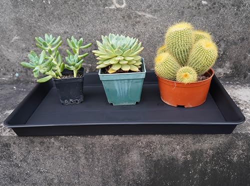 VUWEZ 2 Pack Plant Saucer Tray Rectangular, Plant Growing Nursery Trays, Heavy Sturdy Seed Starting Trays, Plants Starter Saucers for Indoors No Holes, Seed Starter Growing Tray (17.5"x10.6", Black) - Image 5