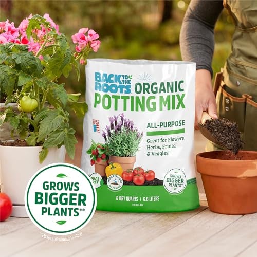 Back to the Roots 100% Organic Potting Mix (6 Quart) Premium Blend Made in The USA - Image 5