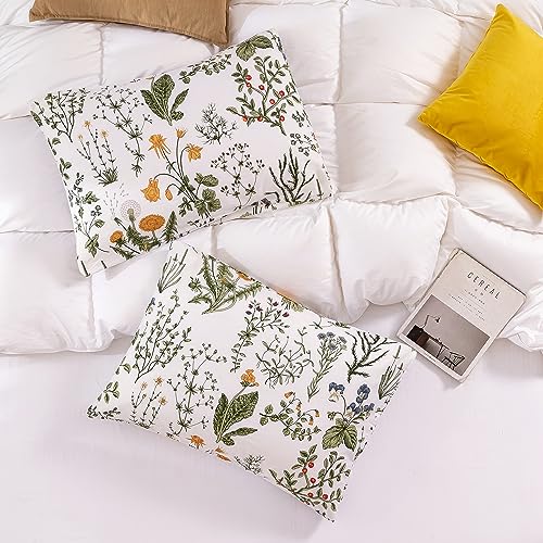 ECOCOTT 100% Cotton Pillowcases Standard Size, Floral Print Pattern Pillow Cover 2 Pack, Super Soft Envelope Closure Standard Pillow Case Set (Standard, 20"x26") - Image 3