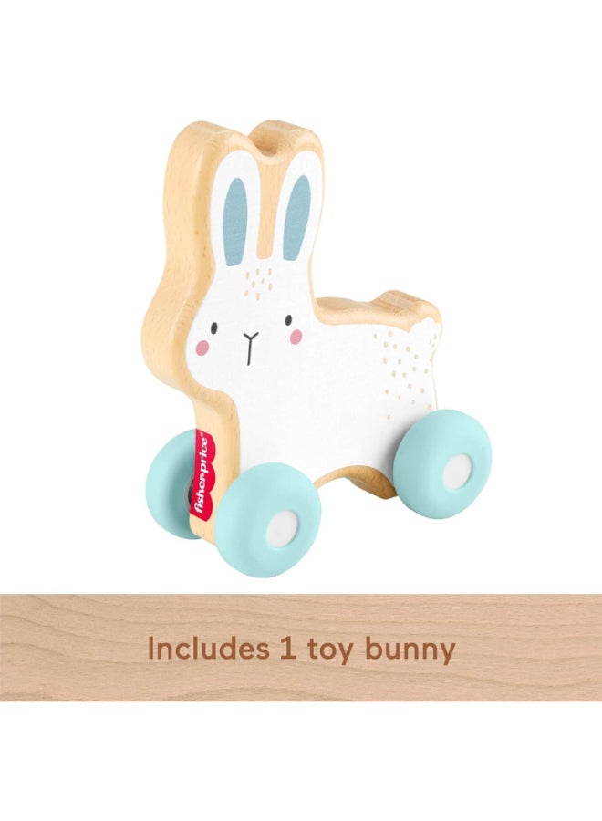 Fisher-Price Push Along Vehicle Toy for Babies and Toddlers, Interactive Crawling Developmental Toy with Rolling Action and Sensory Play for Infants Age 6 Months+ - Image 2