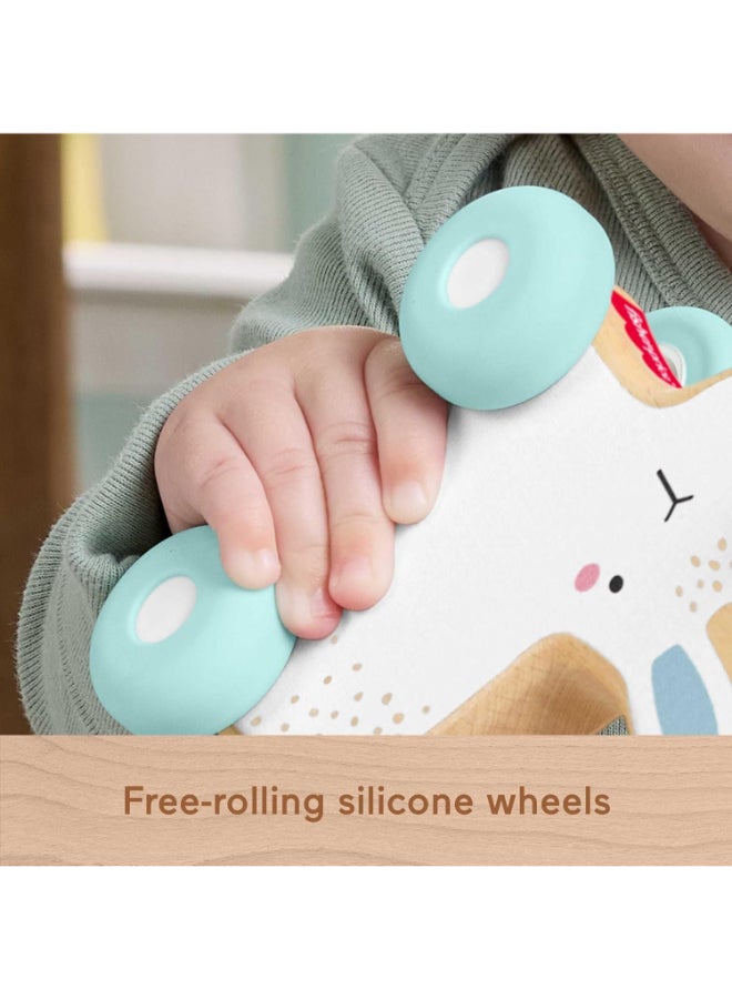 Fisher-Price Push Along Vehicle Toy for Babies and Toddlers, Interactive Crawling Developmental Toy with Rolling Action and Sensory Play for Infants Age 6 Months+ - Image 3