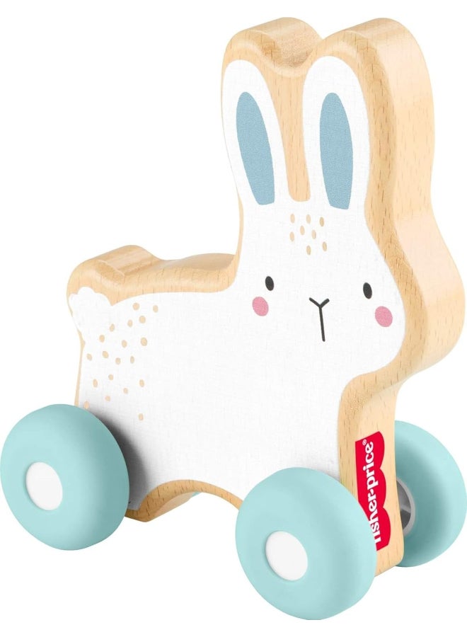 Fisher-Price Push Along Vehicle Toy for Babies and Toddlers, Interactive Crawling Developmental Toy with Rolling Action and Sensory Play for Infants Age 6 Months+ - Image 1