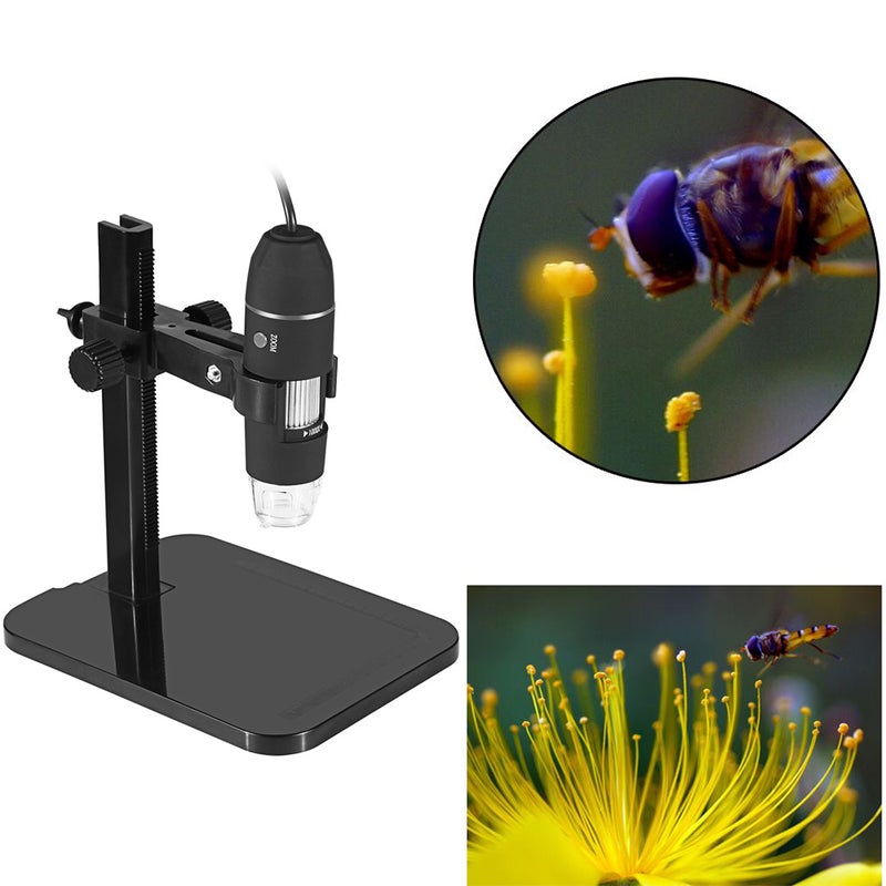 Portable USB2.0 Digital Microscope 1000X Electronic Endoscope 8 LED 2 Million Pixels Practic Magnifier Microscope Camera Black - Image 4