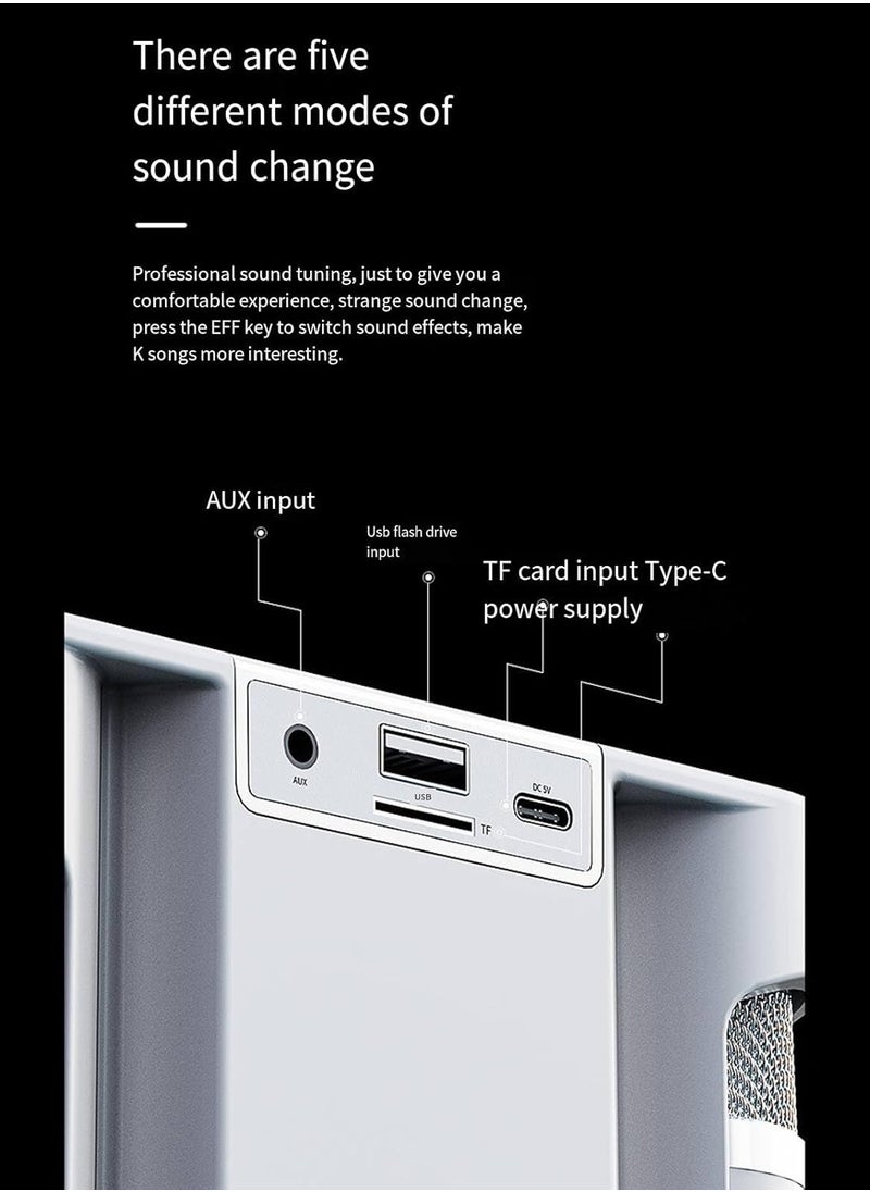 ELTRAZONE - Karaoke Machine with 2 Wireless Microphones – Portable Bluetooth PA Speaker with Echo & Vocal Cut, Supports TF, AUX-in, USB Flash Disk – Perfect for Indoor & Outdoor Parties, Family Karaoke Singing, & Entertainment - Image 1