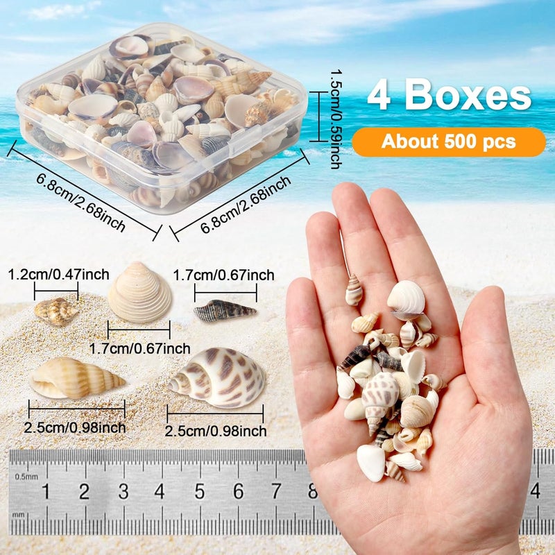 Ira Pollitt 200-210 Pcs Tiny Natural Mixed Ocean Sea Shells Tiny Miniature Beach Critter Seashells Variety Beach Decor Crafts for Arts & Crafts Projects, Home Decoration, Fish Tank Vase Fille (4 Pack) - Image 3