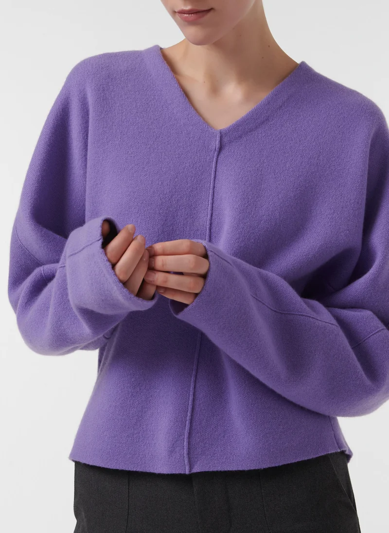 leem V-Neck Batwing Knit Sweater