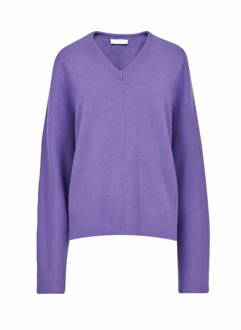 leem V-Neck Batwing Knit Sweater