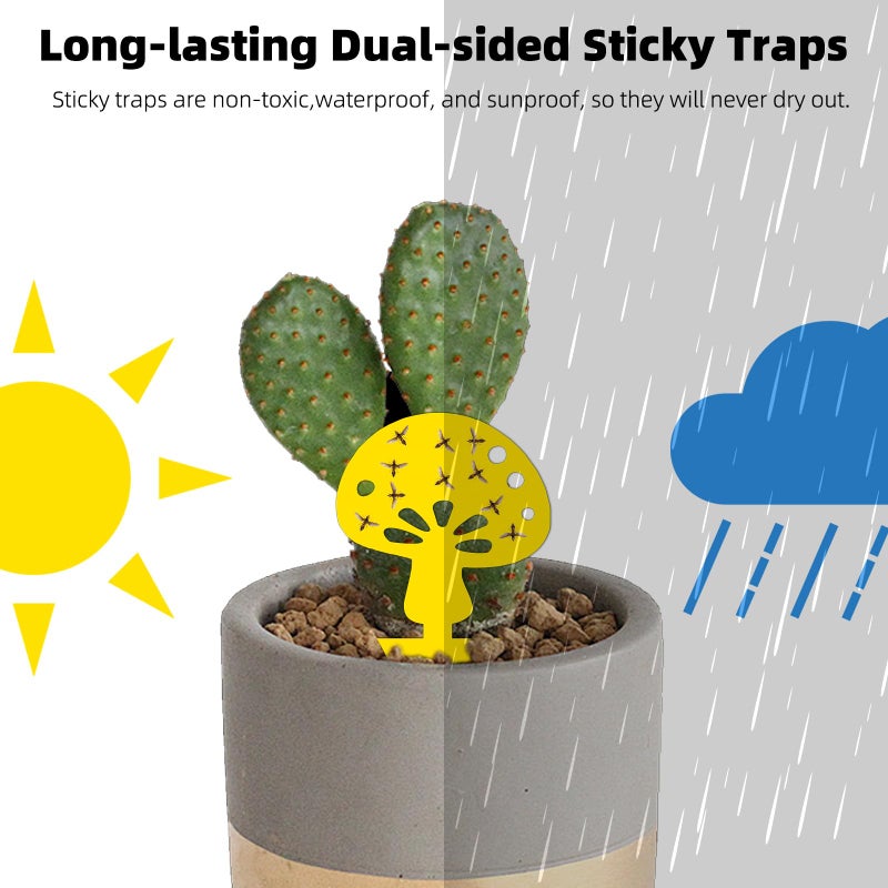 Mosqueda 36PCS Fruit Fly Sticky Traps Fungus Gnat Traps Insect Trap for Plants Kitchen Indoor Outdoor White Flies Mosquitos Fungus Gnats Flying Insects Houseplant Gifts (Mushroom Shape) - Image 3