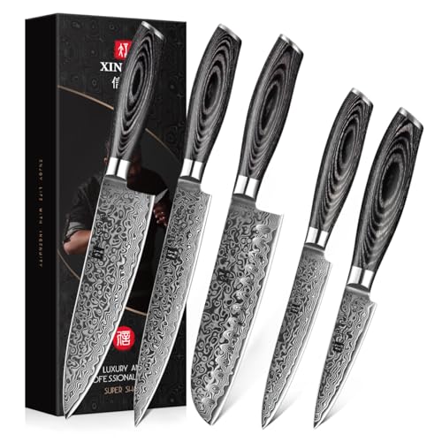 XINZUO 5-Piece Kitchen Knife,Super Sharp Damascus Steel Professional Chef Knife Set with Pakkawood Handle, Gift Box - Image 1