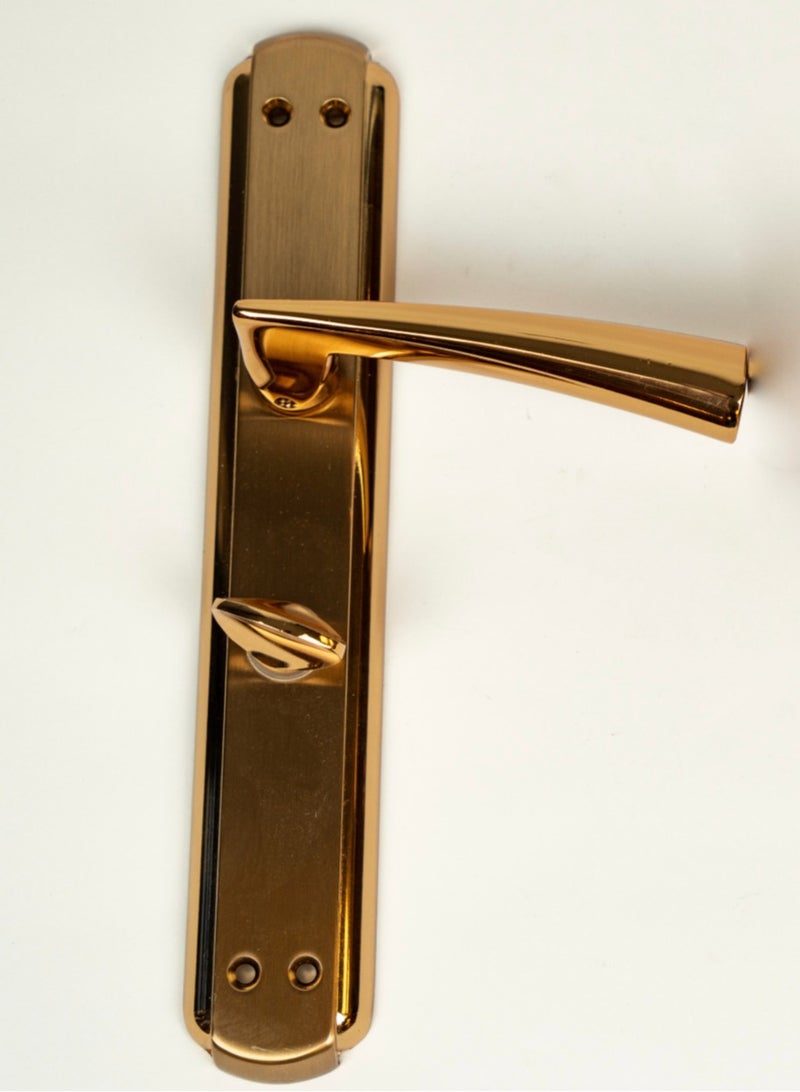 Siag Hazal Bathroom Door Handle - Image 1
