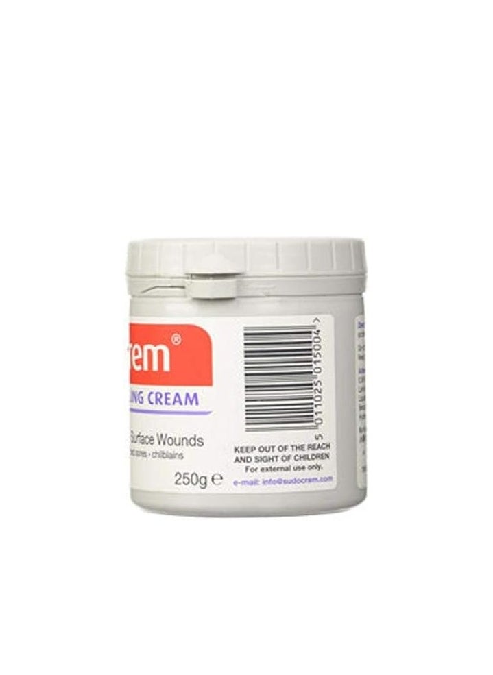 Sudocrem Antiseptic Healing Cream To Protect Rash And Surface Wound - 250g  - Image 2