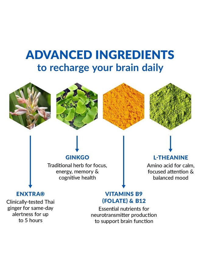 BioTrust BioTrust Brain Bright - Daily Nootropic Boost for Focus, Concentration, Mental Clarity - Caffeine Free Nootropics Brain Support Supplement - Thai Ginger, Ginkgo, Folate, L-Theanine - 30 Servings  - Image 3