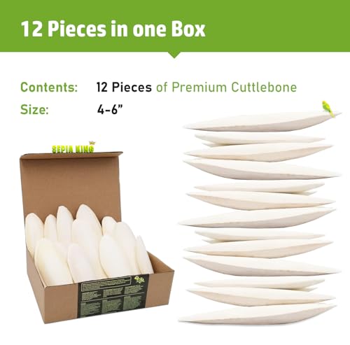 Sepia King Medium 100 Natural Calcium Supplement Premium Cuttlebone Perfect for Birds Tortoises Snails Reptiles 12 Pack - Image 3