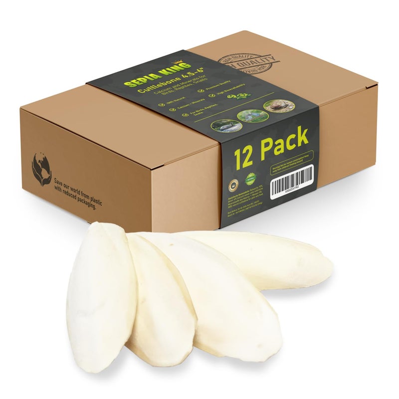 Sepia King Medium 100 Natural Calcium Supplement Premium Cuttlebone Perfect for Birds Tortoises Snails Reptiles 12 Pack - Image 2