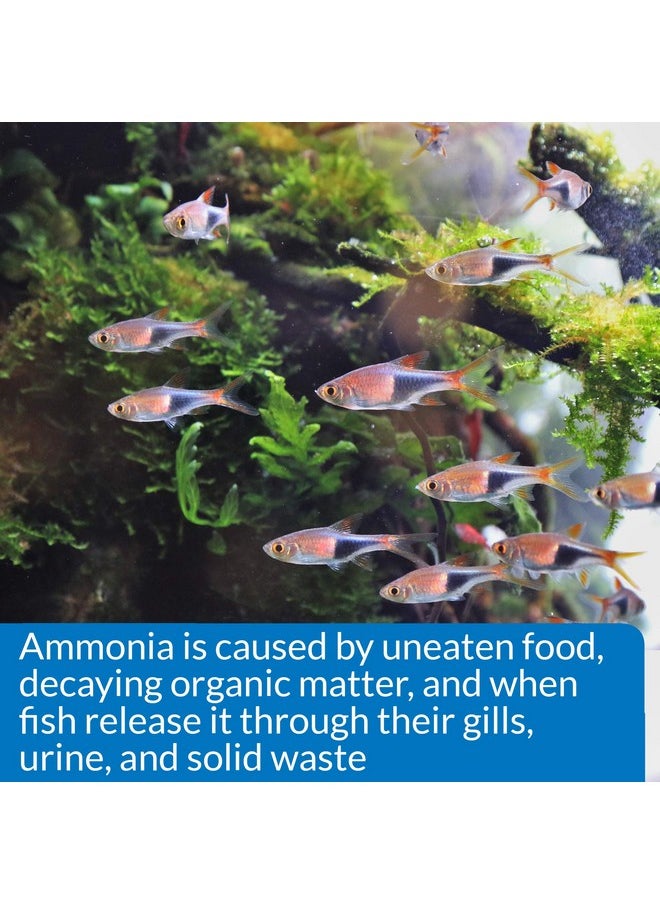 API API AMMONIA 130-Test Freshwater and Saltwater Aquarium Water Test Kit  - Image 5