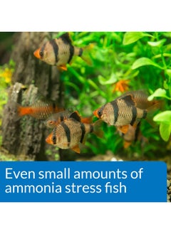 ايه بي آي مجموعة اختبار API AMMONIA 130 لأحواض المياه العذبة والمالحة  - Image 4