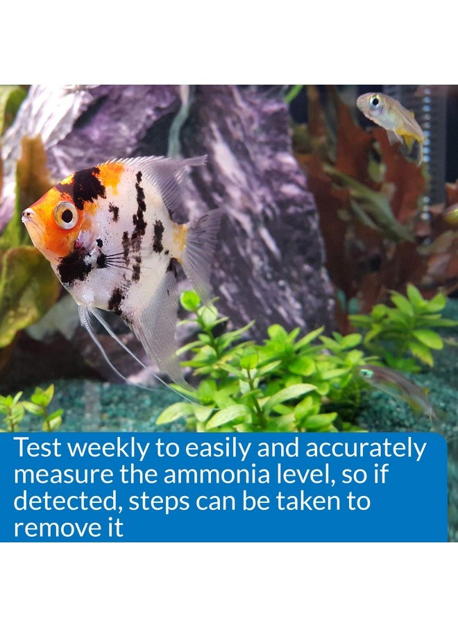 API API AMMONIA 130-Test Freshwater and Saltwater Aquarium Water Test Kit  - Image 3