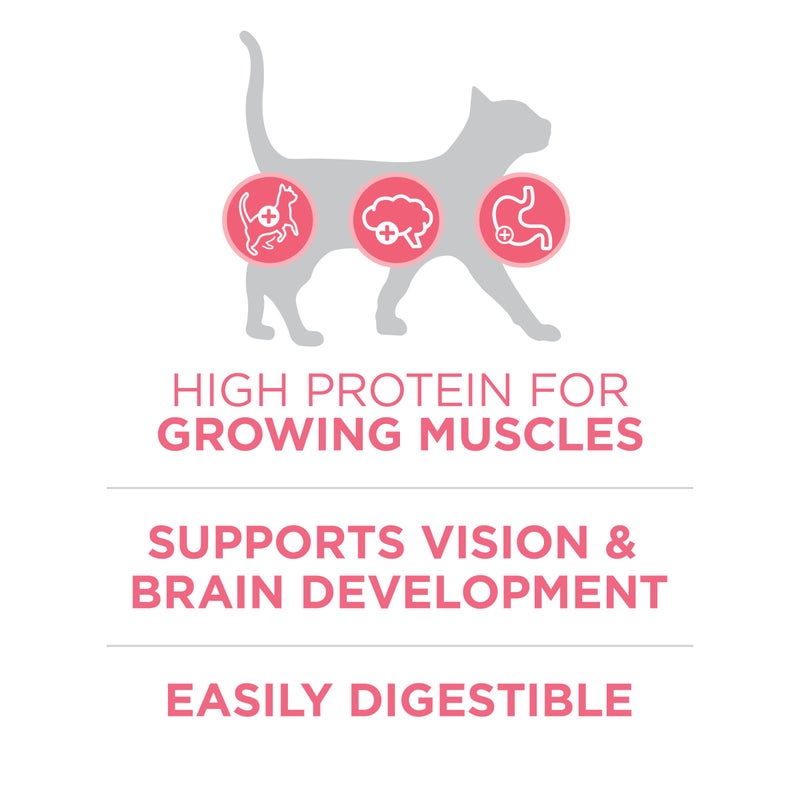 Purina ONE High Protein, Natural Dry Kitten Food, +Plus Healthy Kitten Formula - 7 lb. Bag - Image 4