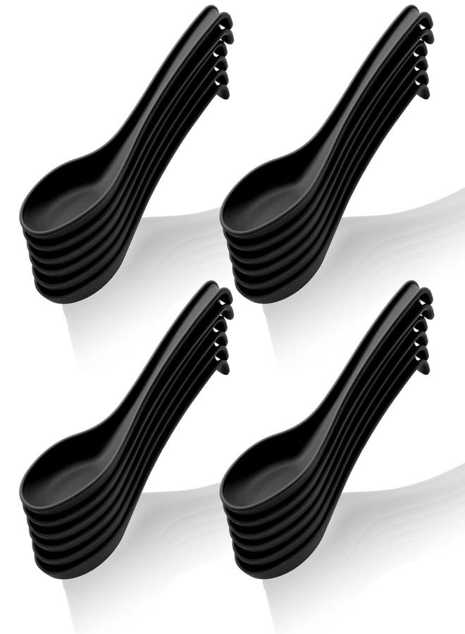 Cionyce 24 Pack Soup Spoons, Reusable Plastic Asian Table Spoon Made of Food Grade PP, BPA Free, Easy Clean, Dishwasher Safe(Black) - Image 1