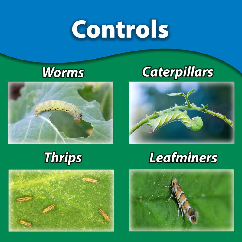 Monterey LG6150 Garden Insect Spray, Insecticide & Pesticide with Spinosad Concentrate, 16 oz - Image 4