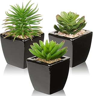 Hollyone Hollyone Small Succulents Artificial 3 Pcs Faux Succulents in Pots Fake Succulent Plants with Black Ceramic Pots for  - Image 1
