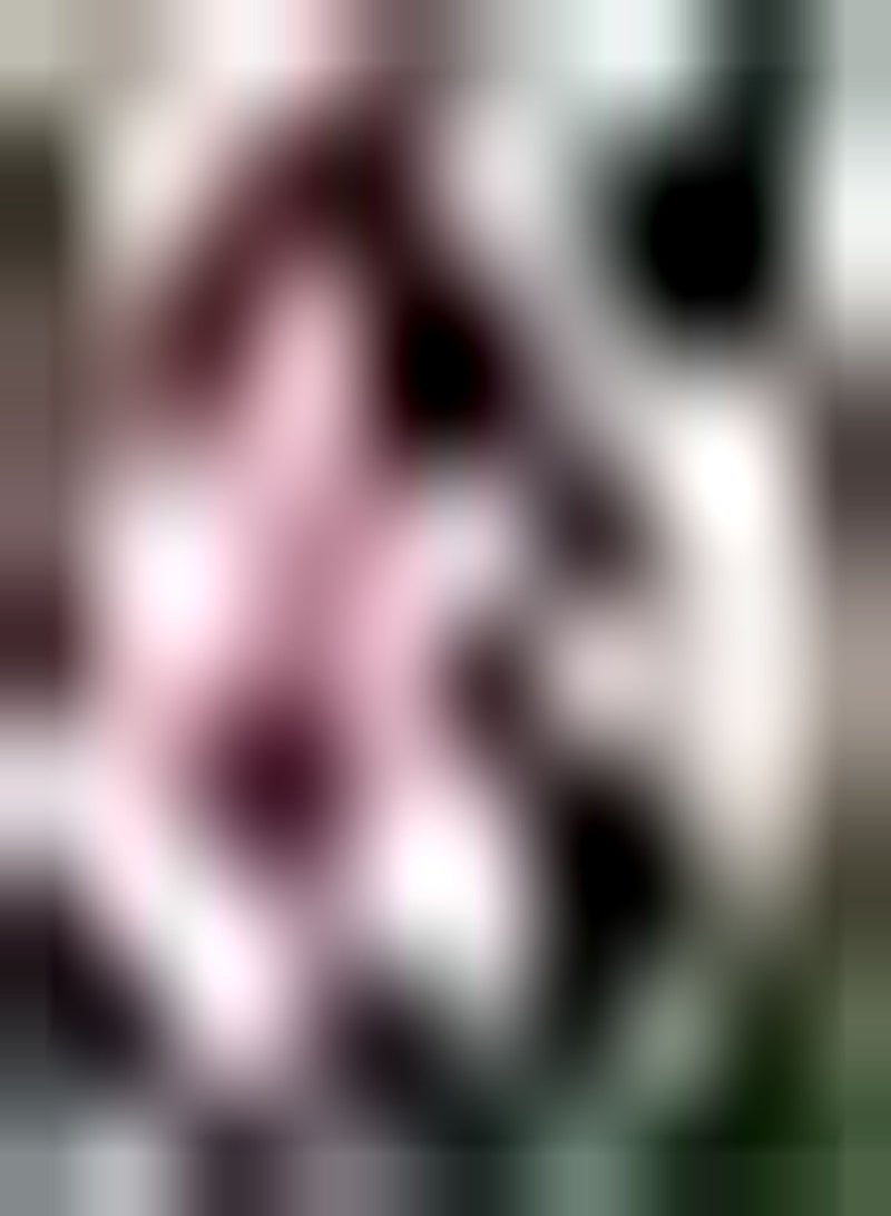 جي جوت 2rote Amaryllis Zwiebeln Stauden Blumen Hohe Keimrate schöne Farbe Starke Einzelpflanze Oder großflächige Pflanzwirkung - Image 1