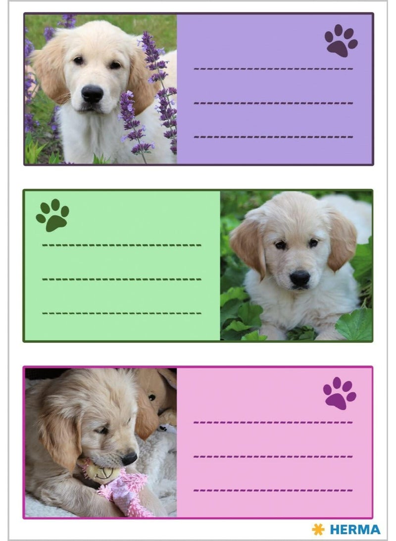 HERMA Vario Self-Adhesive Dog Stickers, Golden Retriever Puppy Design Labels - 9 Pcs (35x76 mm) - Image 2