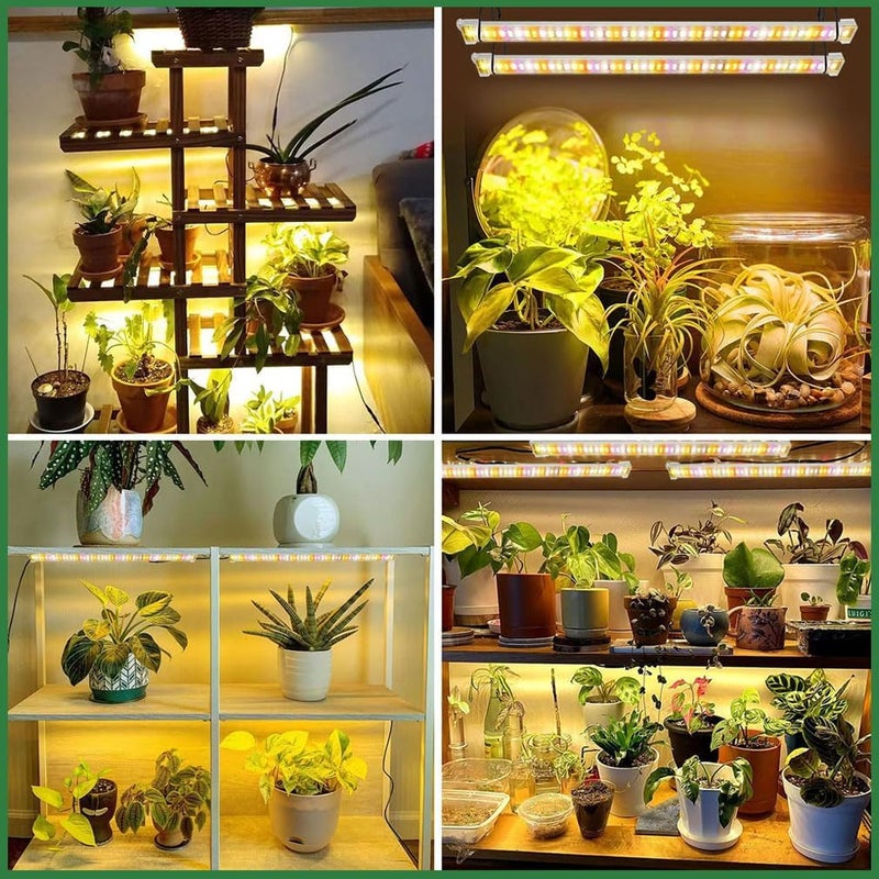جووديرن شرائط إضاءة لنمو النباتات من Plants، عبارة عن قضيب إضاءة LED ذو طيف كامل يحتوي على 2 رأس، مزود بمؤقت آلي للتشغيل لمدة 3/9/12 ساعة، يحتوي على 160 مصباح LED و10 مستويات للتحكم في السطوع، وهو مثالي للإضاءة النباتية داخل الأماكن المغلقة، خاصة للنباتات الهيدروبونية والشتلات العصارية. - Image 2
