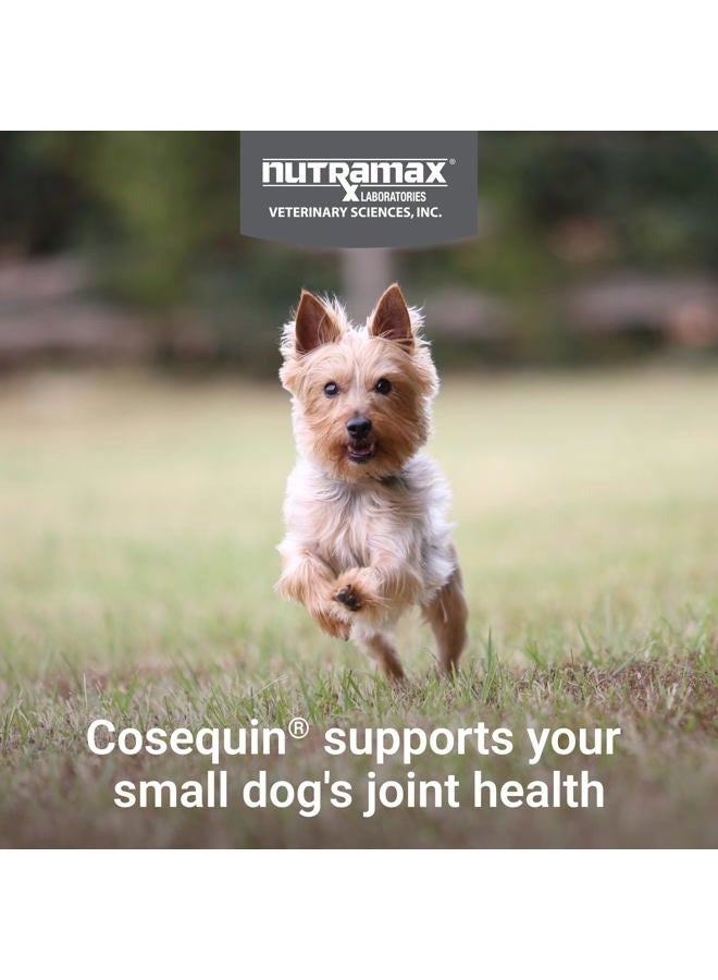 Nutramax Laboratories Cosequin Minis Maximum Strength Joint Health Supplement - With Glucosamine, Chondroitin, MSM, and Omega-3's, 45 Soft Chews - Image 3