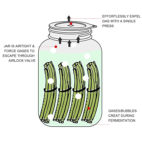 Sophico Silicone Fermenting Lids, Waterless Airlock Fermentation Tops Mason Jar Lid Fermenter Caps for Pickles, Kimchi, and Fermented Probiotic Food - 4 Pack, Wide Mouth (Jars Not Included) - Image 3