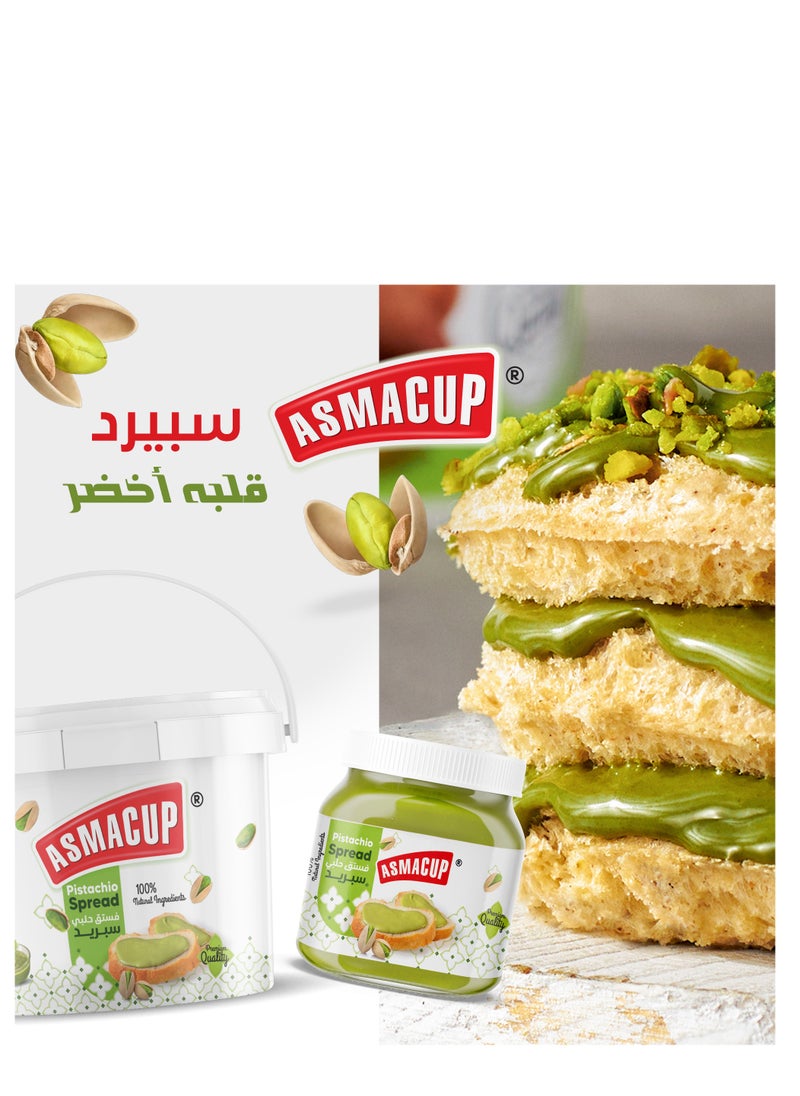 Pistachio Cream 480g squeeze bottle Spread - pzsku/Z8E12CCE9D781B466D0E1Z/45/_/1723544449/3d391b8d-3d98-420d-88ee-01b365b1410a