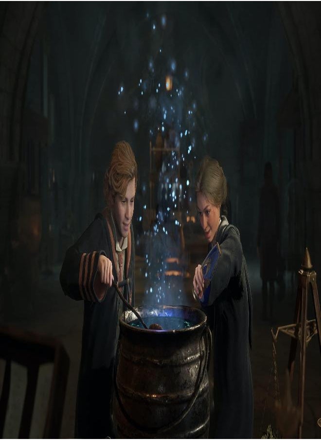 WB Games Hogwarts Legacy - Nintendo Switch  - Image 2