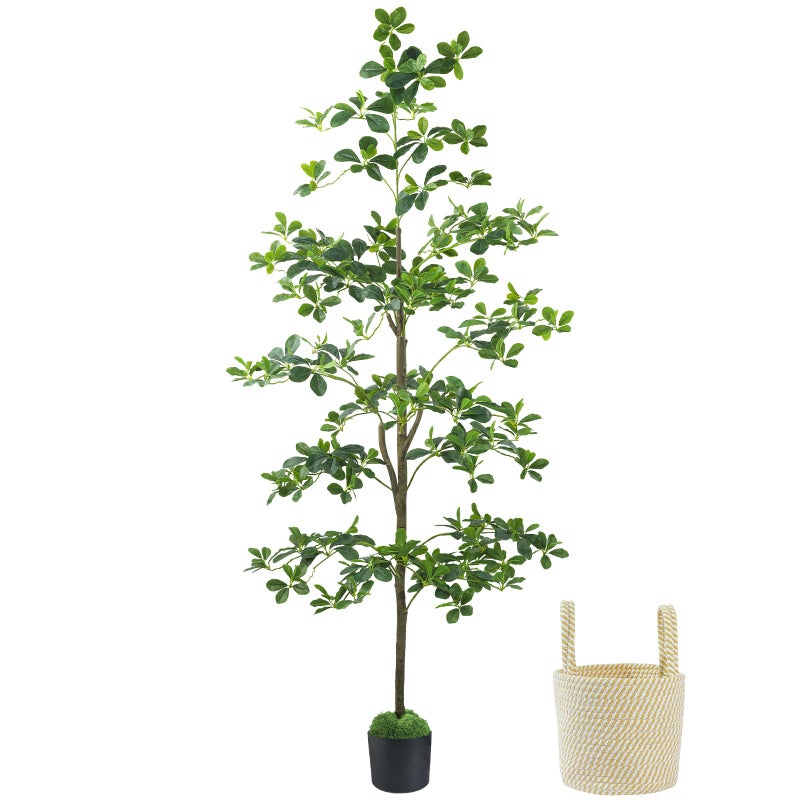 Caxchiling Artificial Black Olive Tree 6FT, Fake Potted Tree for Indoor Outdoor, Lifelike Faux Floor Plants with Moss Topper and Cotton Basket, Home Office Living Room Bedroom Doorway Hallway Decor - Image 1
