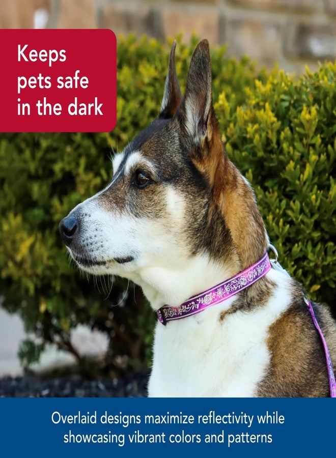 Coastal Pet - Lazer Brite - Patterned Collar, Blue Multi Bone, 1" x 18"-26" - Image 3