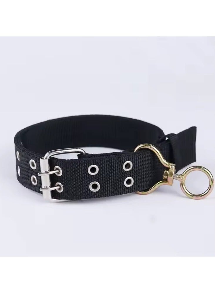Thick and durable nylon dog collar for dogs and pets, available in small and large sizes, multi-color - Image 2