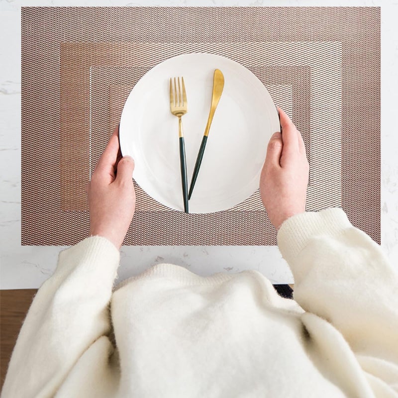 pigchcy Placemats Set of 6,Washable Woven Vinyl Kitchen Table Mats Non Slip Durable Placemats,Heat Resistant Placemats for Dining Table (Champagne) - Image 2
