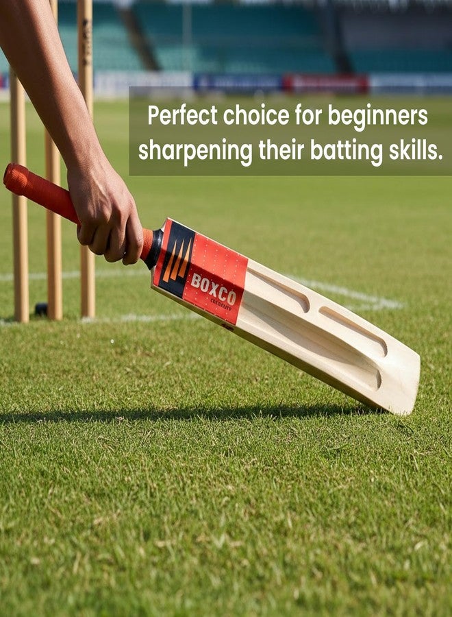 Boxco Velocity Light Weight Thick Edges Cricket Bat for Tennis Ball, Premium Willow Wood, Balanced Design, Non-Slip Grip (Age Upto 8) - Image 3
