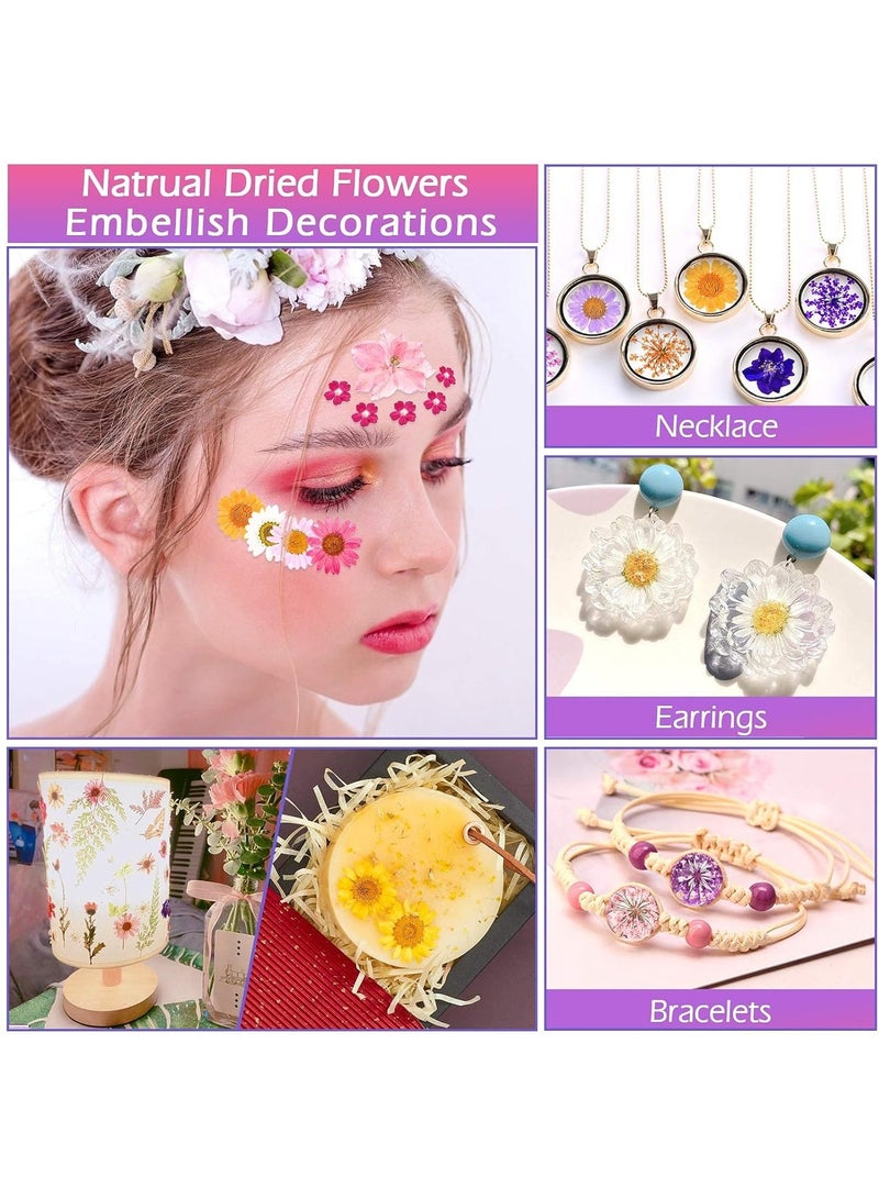 LEDIN Real Dried Flower Dry Plants For Aromatherapy Candle Epoxy Resin Pendant Necklace Jewelry Making Craft DIY Accessories Natural Dried Flowers Mixed ,Home Decoration Filling Materials (140 Pcs)  - Image 5