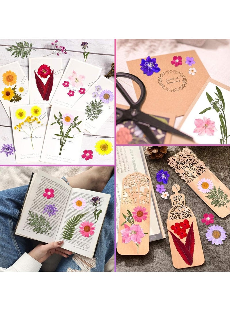 LEDIN Real Dried Flower Dry Plants For Aromatherapy Candle Epoxy Resin Pendant Necklace Jewelry Making Craft DIY Accessories Natural Dried Flowers Mixed ,Home Decoration Filling Materials (140 Pcs)  - Image 2