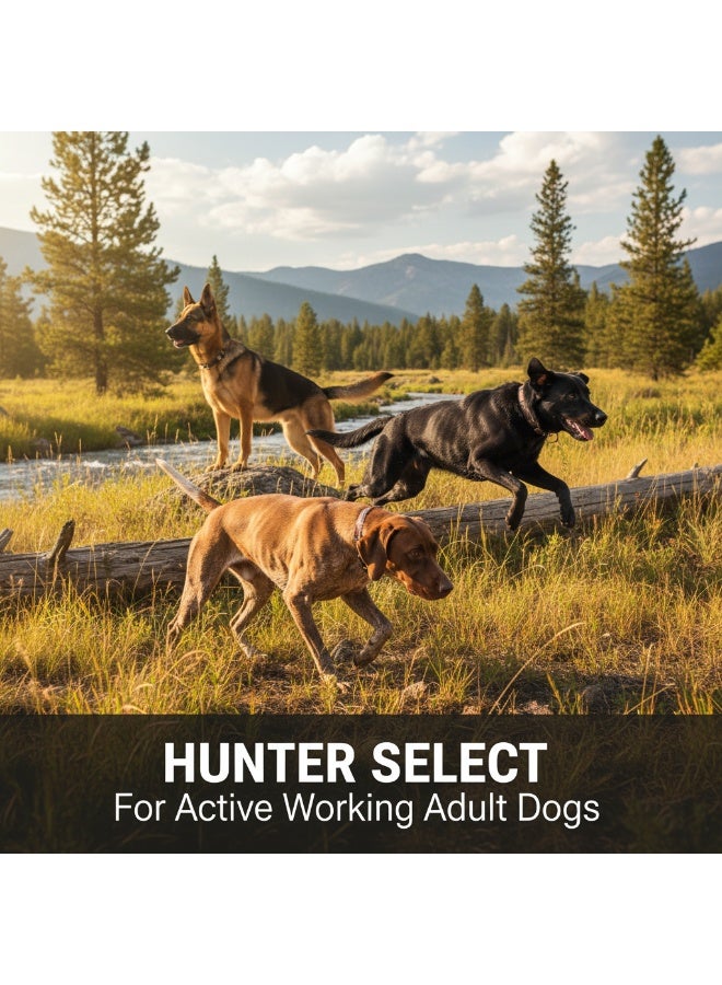 Winner Plus Super Premium Hunter Select |  Chicken Flavour  | All Breeds | For Adult Dog Owners | Pet Care Facilities | 18kg - Image 3