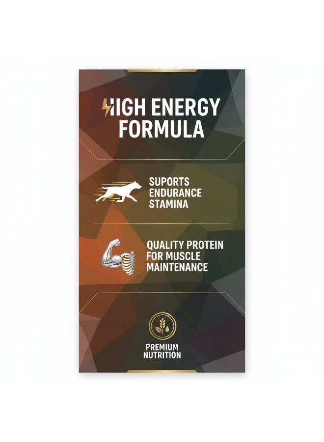 Winner Plus Super Premium Hunter Select |  Chicken Flavour  | All Breeds | For Adult Dog Owners | Pet Care Facilities | 18kg - Image 4