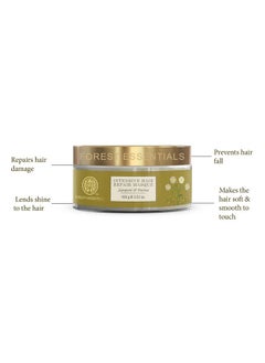Forest Essentials Forest Essentials Intensive Banana Hair Repair Masque Japapatti & Brahmi|Ayurvedic Hair Mask For Frizzy And Dry Hair|Deeply Nourishing Hair Mask, 1 Count  - Image 3