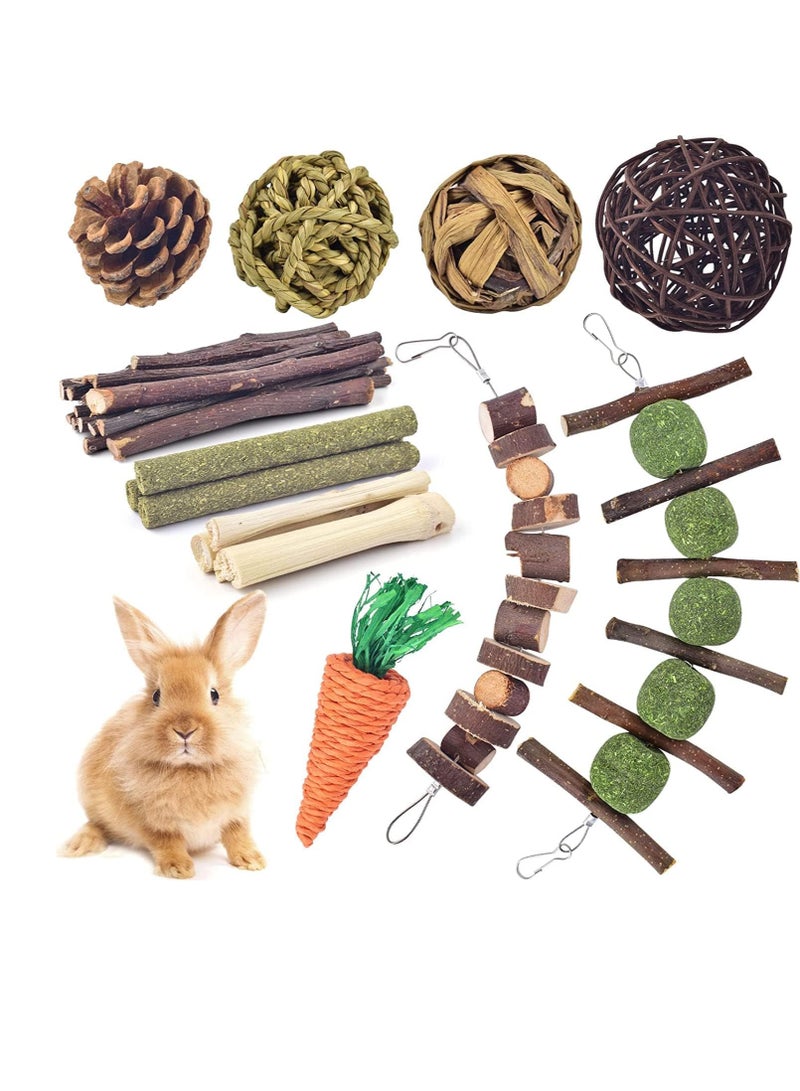 FengSVMA Rabbit Chew Toys, Hamster Toys Natural Apple Wood Guinea Pigs Chewing Toys Bunny Ball Toys Teeth Care Toys for Rabbits Guinea Pigs Squirrel Gerbils Small Rodent Pets Chewing and Playing - Image 1