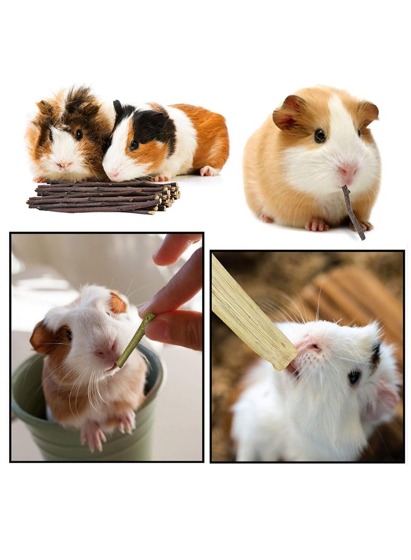 FengSVMA Rabbit Chew Toys, Hamster Toys Natural Apple Wood Guinea Pigs Chewing Toys Bunny Ball Toys Teeth Care Toys for Rabbits Guinea Pigs Squirrel Gerbils Small Rodent Pets Chewing and Playing - Image 4