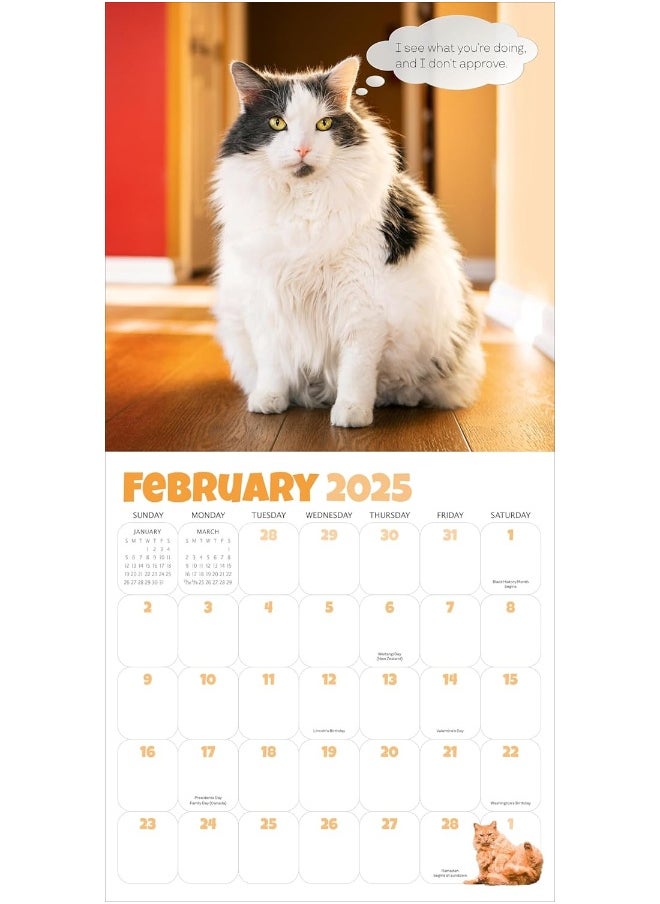 Chonkers Wall Calendar 2025: A Year of Cats Large and In Charge