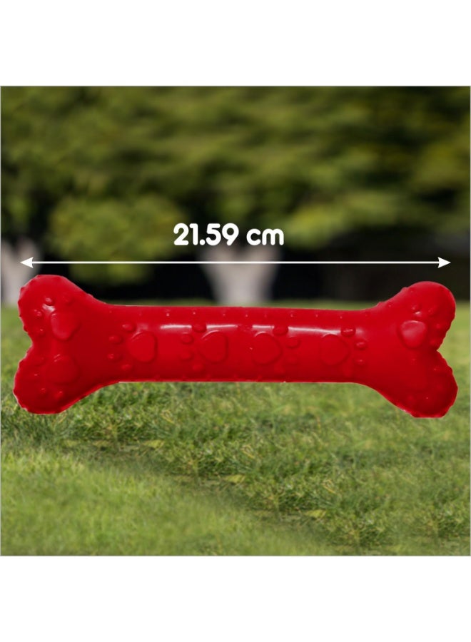 Drools Non-Toxic Rubber Dog Toy (Large - 21.59 cm) Pack | Durable Chewing | Promotes Dental Health | Aids Weight Management - Image 4