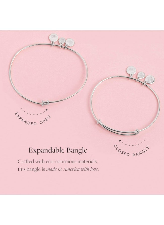 ALEX AND ANI - Path Of Symbols Expandable Bangle For Women Token Of Adoration Charm Rafaelian Silver Finish 2 To 3.5 In - Image 1
